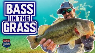 🔥Find Grass Find FISH!! 🎣 Susquehanna Flats FIASCO!