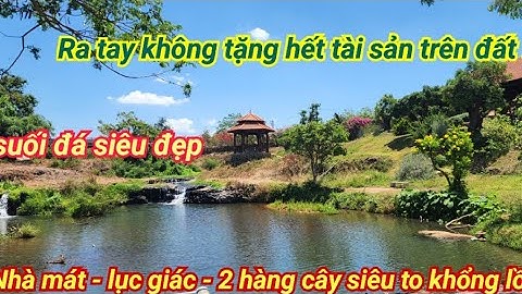 Bán khu nghỉ dưỡng siêu đẹp - suối đá chảy quanh năm - nhà gổ - lục giác - cây cảnh siêu to khổng lồ