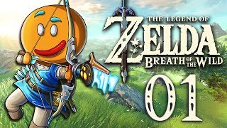 Let's Play Live #1 Zelda Breath of the Wild EXPERT [FR]