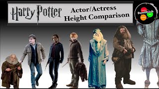 Height Comparison | Harry Potter Actors