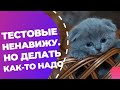 Как сделать тестовое задание копирайтеру // 7 советов из опыта