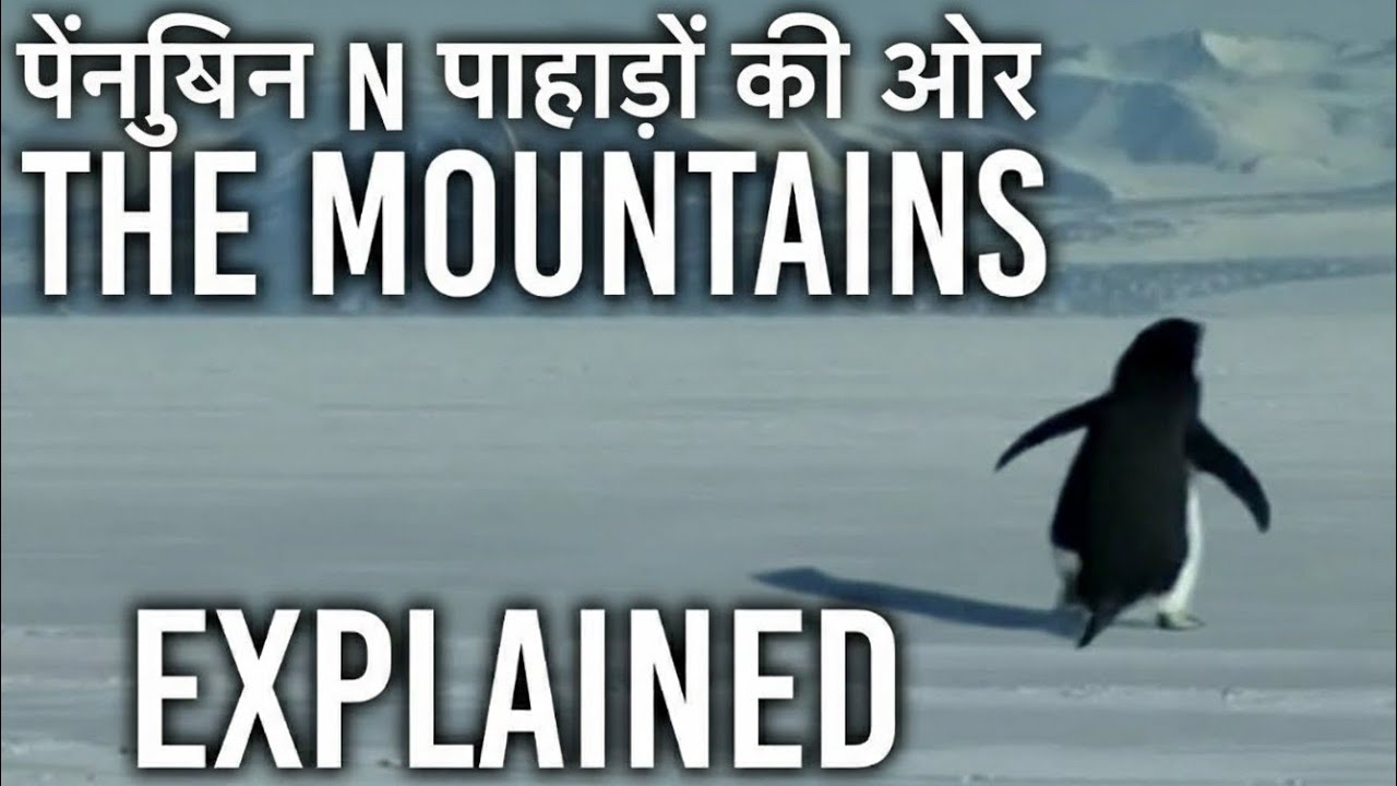 The Mystery of the Mountain Penguin: Full Story Explained (Best for storytelling)