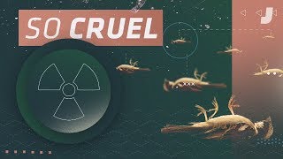 The Insane Doomsday Weapon That America Almost Built | Jalopnik Explains