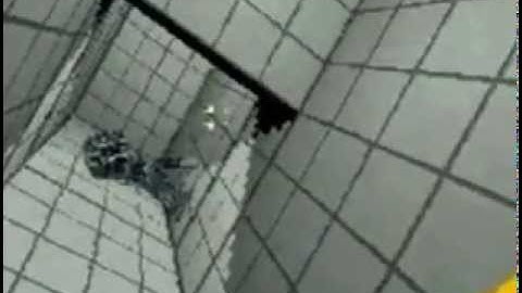 Portal DS test (very early demo) 2