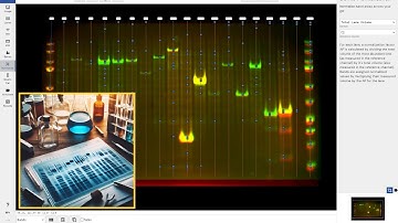 How to Perform Total Protein Normalization for Western Blot Protein Analysis with Phoretix 1D