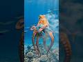 Deep Ocean Hunter: The Silent Octopus Strike 🐙🔥. #animals