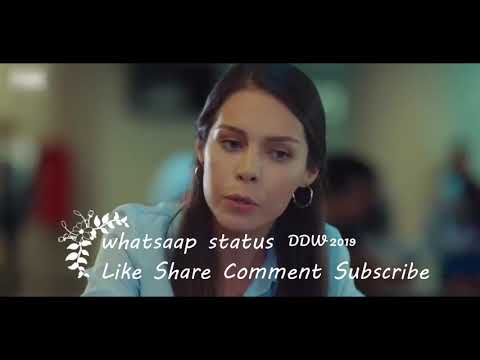 Boys Attitude Status¦Hollywood Whatsapp Status¦All Types Status¦DailyFacts