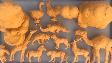 Tắm rửa vệ sinh các con vật, bò, dê, hươu, ngựa, trâu, gấu trúc, sư tử, ngựa vằn, khỉ đột, hổ