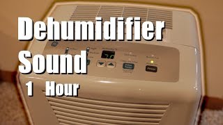 Dehumidifier Sound 1 Hour White Noise