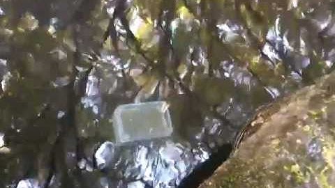 Seeeduino Stalker with Water proof enclosure 3