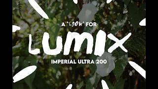 A Minty LUMIX 'Look' for Fresh Looking JPEGs… screenshot 3
