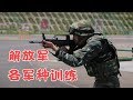 中国解放军及各军种训练视频/Chinese PLA Training/Tik Tok China