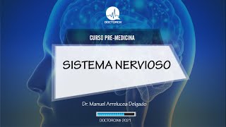 SISTEMA NERVIOSO || CURSO PRE-MEDICINA