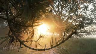 အချစ်ရဲ့ရလဒ် - လင်းလင်း (Cinematic Lyrics Video) chords