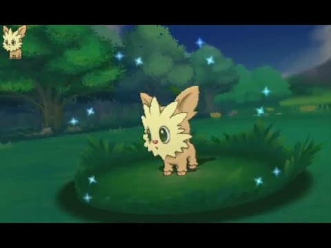 3ds ポケモン Oras Shiny Lillipup 色違い ヨーテリー 色違 小約克 Youtube