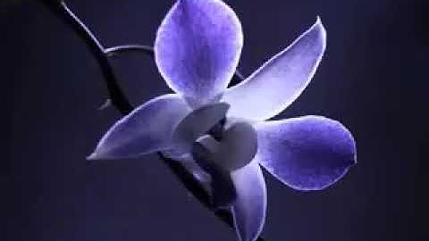 سلمان العتيبي ما تيسر من سورة الحديد