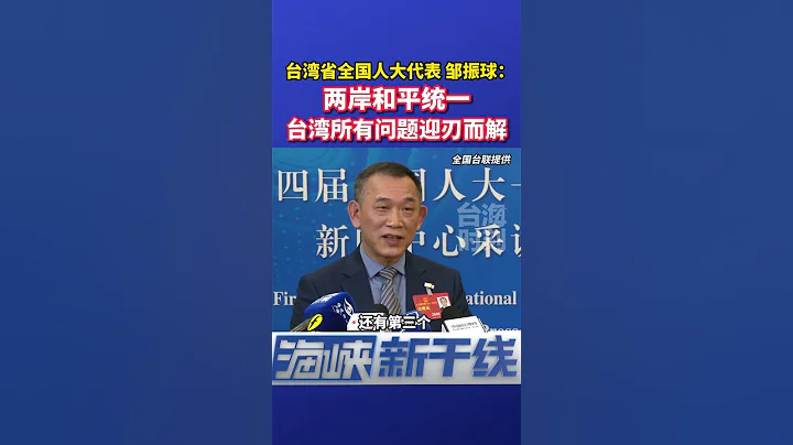 台灣省全國人大代表鄒振球：兩岸和平統一，台灣所有問題迎刃而解！#海峽新幹線 - 天天要聞