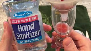 DNA Extraction Lab From Home: Part 2