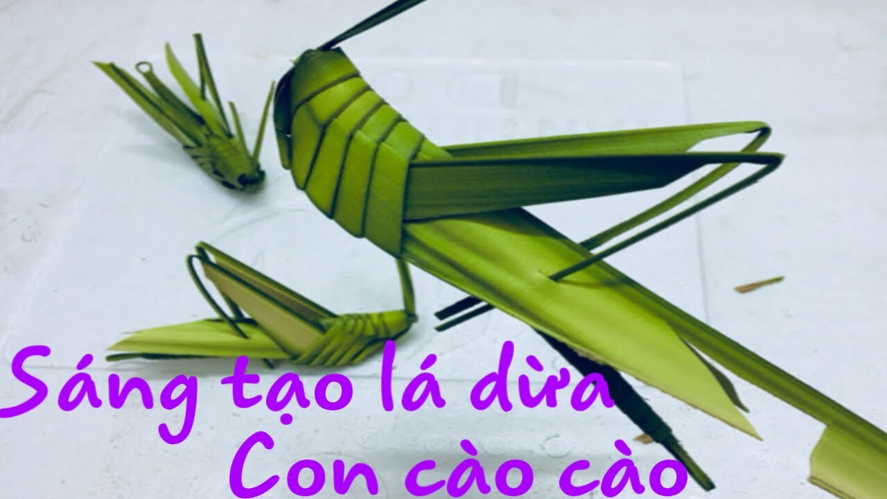 Hướng dẫn cách làm cào cào từ lá dừa 1|SÁNG TẠO LÁ DỪA
