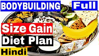 Vegetarian and non full day protein diet plann in hindi india