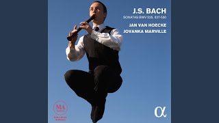 Sonata No. 4 in E Minor, BWV 528: I. Adagio - Vivace (Transcription for Recorder and Fortepiano...