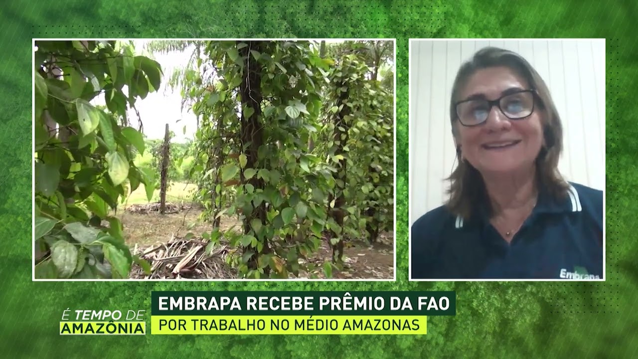 É Tempo de Amazônia com Lucieta Martorano | AgroMais