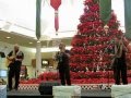Kuana Torres Kahele - 