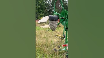 A massive HORNET nest hit and run!  #hornets #hornetnest #wasps #yellowjackets #insects #bees