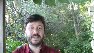 O uso correto do pensamento, sentimento e palavra no cotidiano