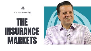 The Insurance Markets | Understanding the insurance industry with business acumen screenshot 1