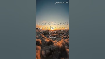 سورة الزمر من آية 4 إلى آية 5 بصوت الشيخ ياسر الدوسري♥♥