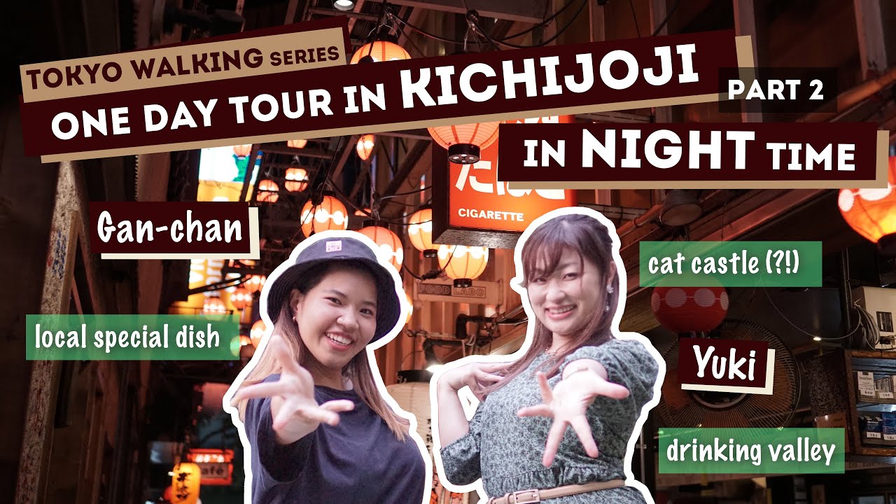 Drinking With Cat Girls In Tokyo's Kichijoji 