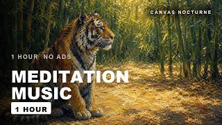 Ambient Music for Meditation & Slow Breathing | 1 Hour Neoclassical - Light Through the Bamboo