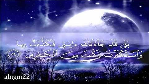أن تقول نفس يا حسرتا على ما فرطت في جنب الله   مشاري العفاسي
