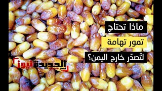 ماذا تعرف عن تمور المناصف في تهامة