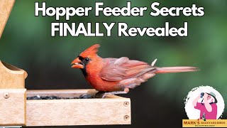STOP Wasting Money on the WRONG Hopper Feeder!