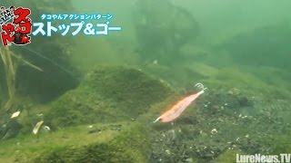タコやん2.5号のアクション実演&水中映像 その2 (227)