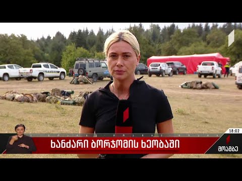 ხანძარი ბორჯომის ხეობაში