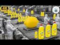 Inside the Sunlight Factory How Lemon Dishwashing Liquid is Made (Full Process)