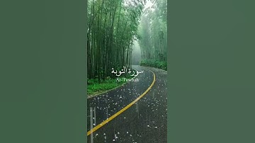 #عبدالرحمن_مسعد#قران_کریم#حالات_واتس_اب سورة التوبة تِلاوة عبدالرحمن مسعد /لَا تَحْزَنْ/تريح النفس🤍
