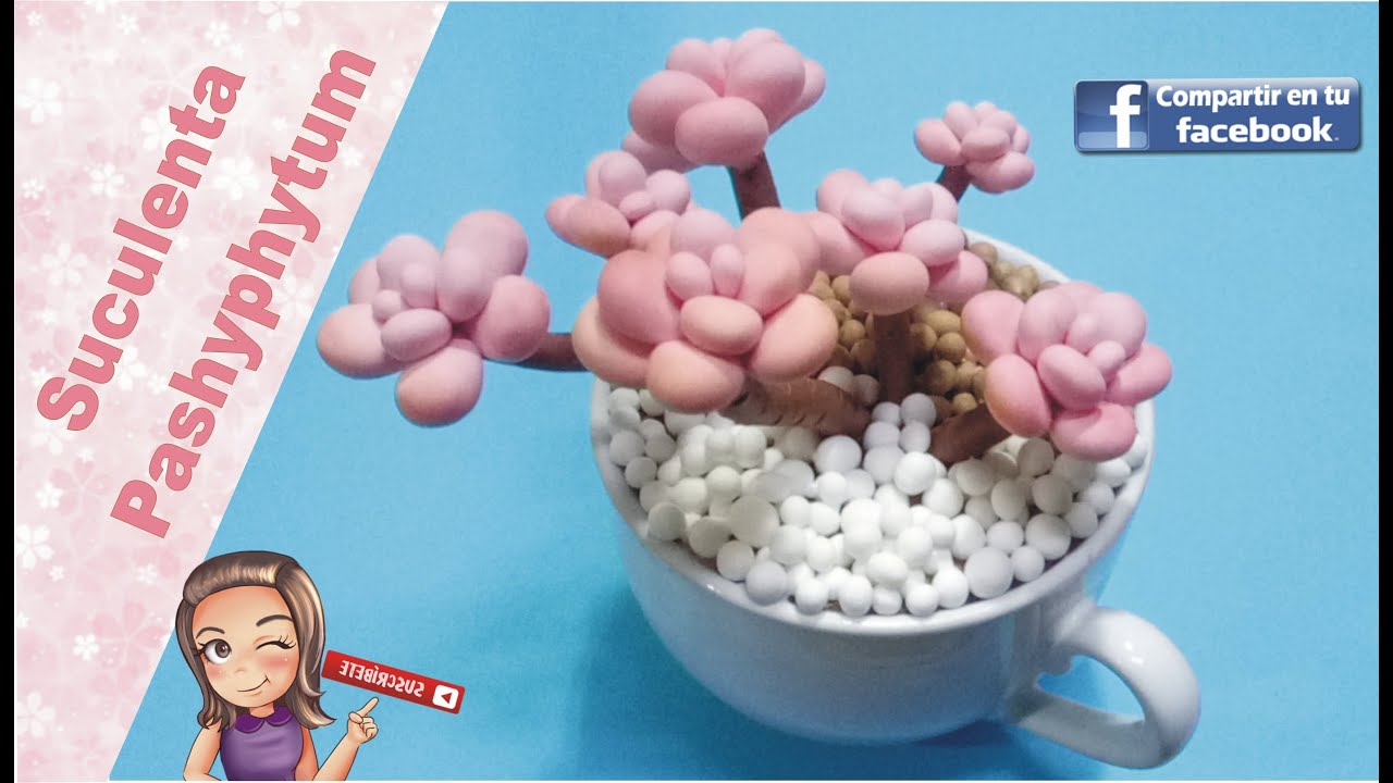 Suculenta Pashyphytum//Como hacer suculenta en porcelana fría// BeaSaravia //11 de junio