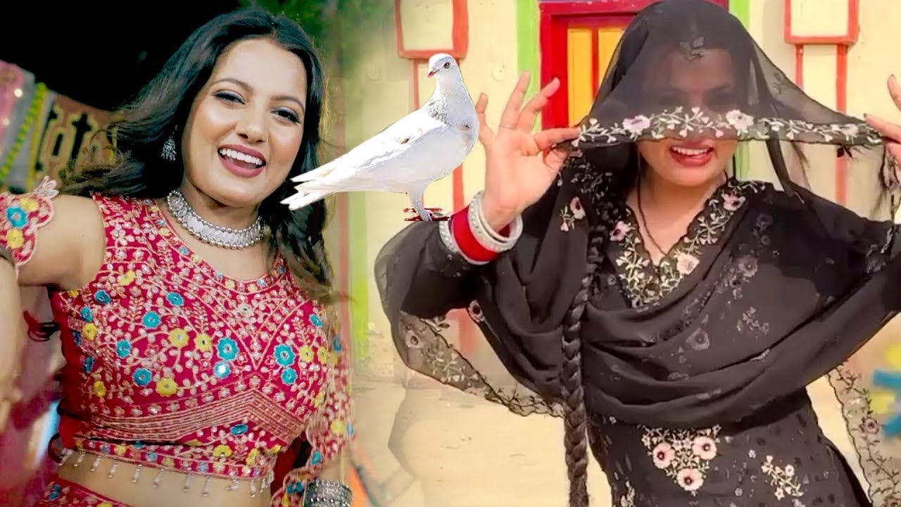 2025 में DJ पर आग लगा देगा ये गाना ! New Haryanvi Superhit Songs ! Popular Haryanvi Songs 2025