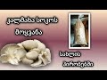 კალმახა სოკოს მოყვანა სახლის პირობებში mushroom cultivation