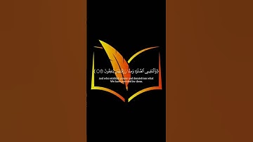 #المصحف #اكسبلور #لايك تلاوة خاشعة صوت جميل #quran #viral