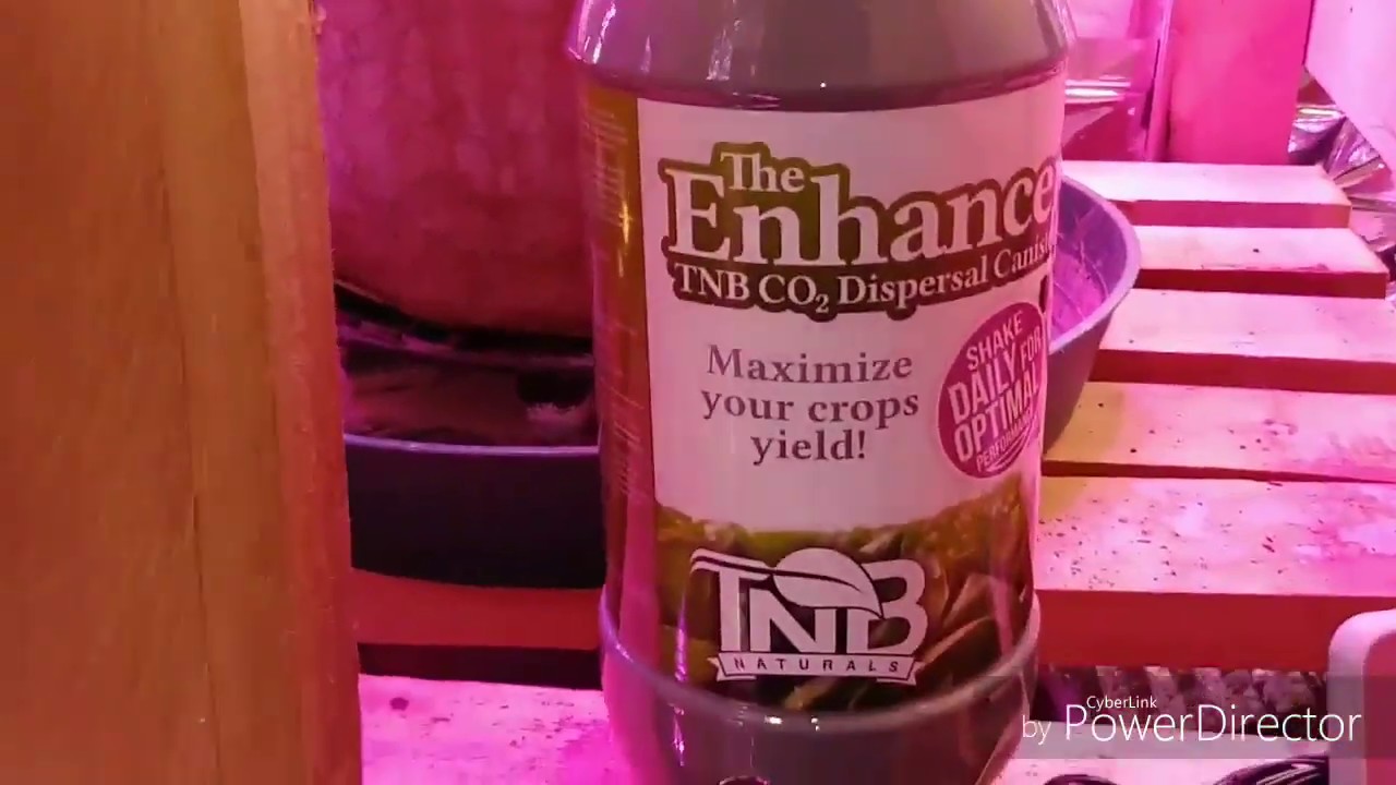 Bruce Leef TNB CO22 Enhancer CO2 generator CO2 bottle by TNB Naturals 