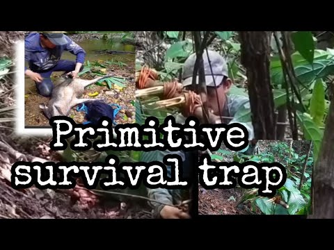 Primitive Survival Trap The Feather Spear Trap Avatarthewayofwater 