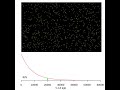 Radiocarbon decay