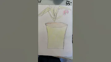 Giorgi Paint Painting Relax Giorgi 8year 