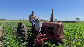 Fertilizing (Side Dressing) corn with a Farmall 200 while cultivating (4/23)