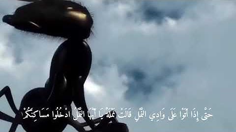 سورة النمل :١٧،١٩